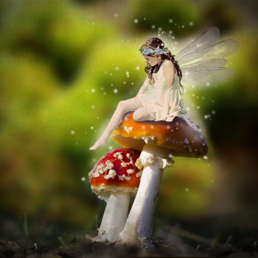 Fairy Muse