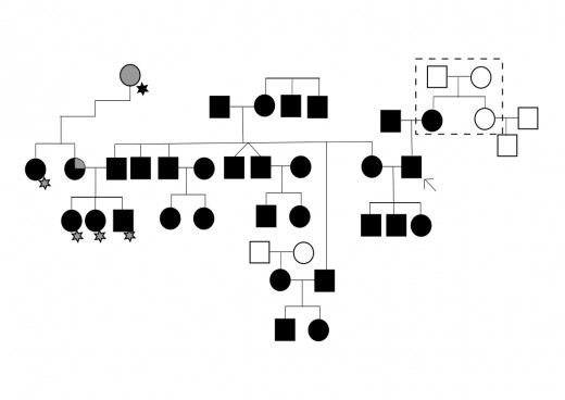 Illustration 6: Genealogy showing the extended family