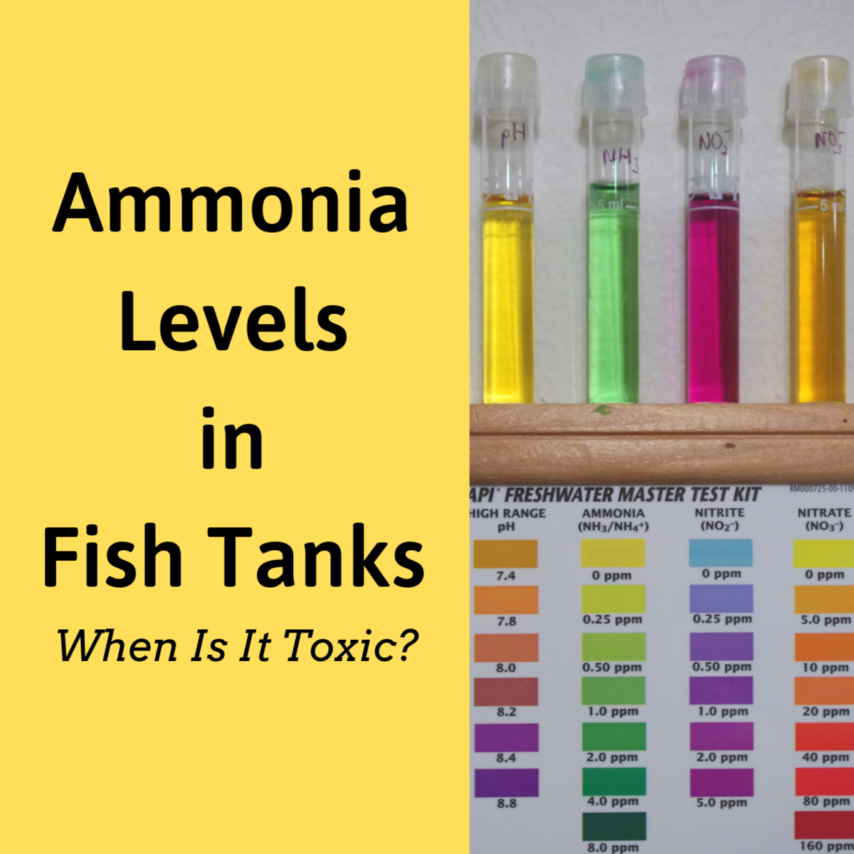 Ph Ammonia Toxicity Chart