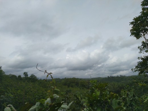 A cloudy fearsome landscape from Kerala, India