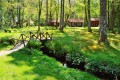 Vacation Homes in Gladwin Michigan Sell for Less