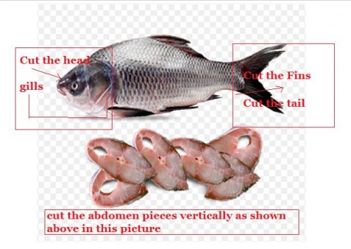 Sectioning of the whole fish Sectioning of the whole fish
