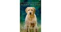 Review of The Dog Who Saved Me by Susan Wilson