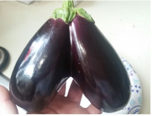 A unusual Double eggplant