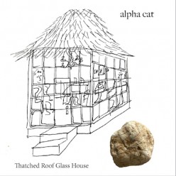Alpha Cat Returns: Thatched Roof Glass House
