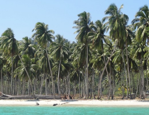 Palm beach eco-tourism destination