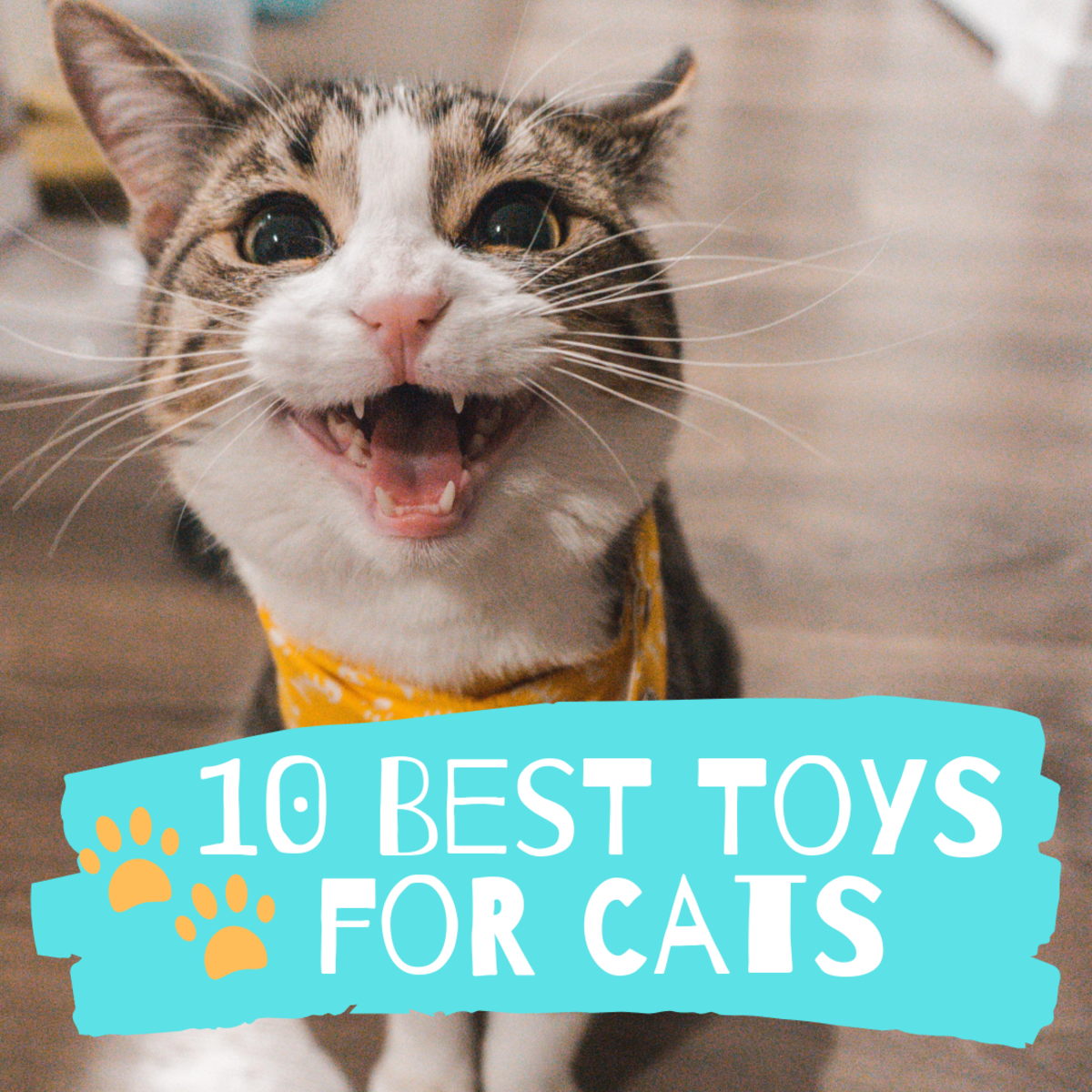 toys to keep cats busy