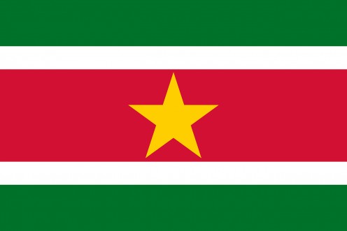 This is the flag of suriname