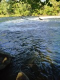How To Fish Wingdams