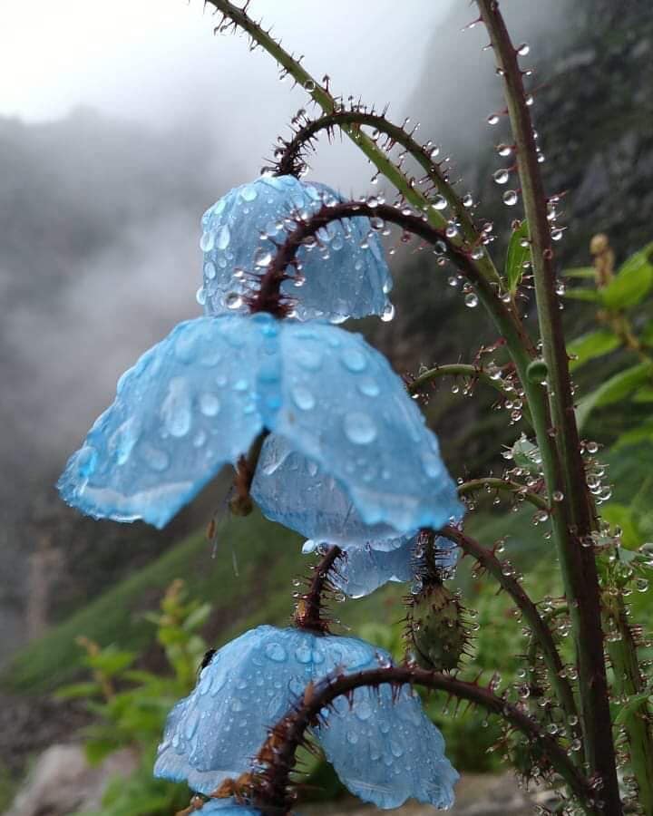 https://usercontent1.hubstatic.com/14672848.jpg