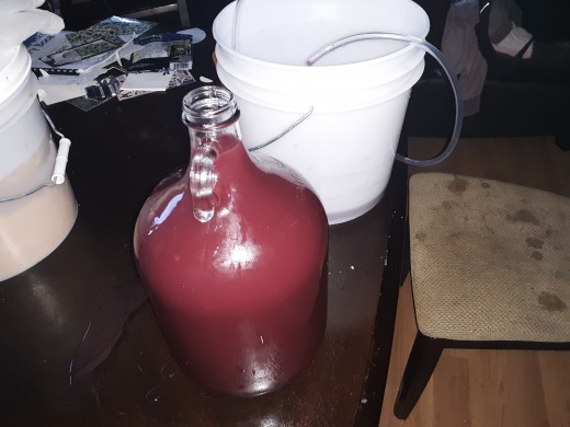 Freshly siphoned plum wine