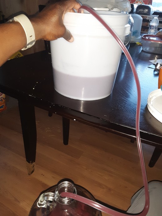 Siphoning filtered wine into demijohn