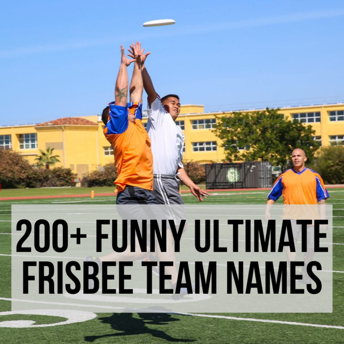 Ultimate Frisbee Popularity Chart