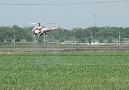 Agricultural plots in Japan are often small, confined areas with numerous obstacles and barriers to access in the vicinity. An environment well suited to drone helicopter sprayers.