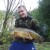 Common Carp Common Carp