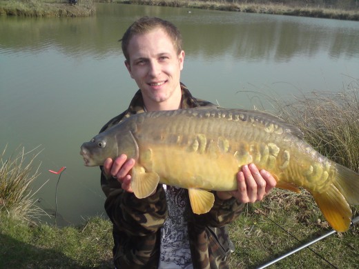 Mirror Carp