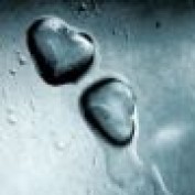 rachelsheart profile image