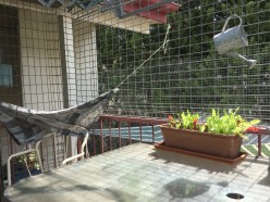 Poems From the Porch 4