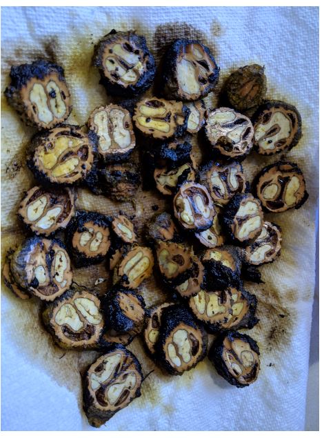 freshly cut walnut slices