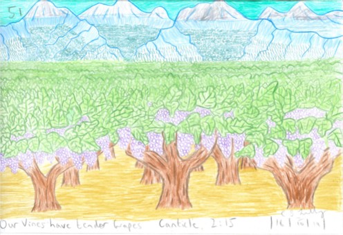 Our Vines have tender Grapes, Canticle 2 : 15, drawn Wednesday the 16th of October, 2019.  