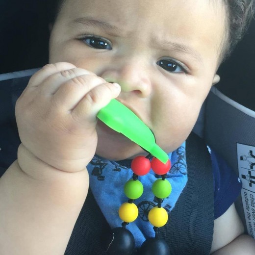 Turtle Teething Toy