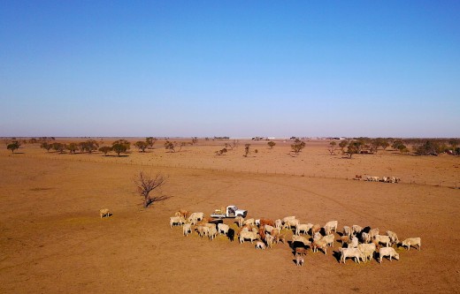 Because of the Australian drought, there are properties that are becoming deserts. The farmers that own these properties hope that it rains and that the government helps them. But there is no help because of the assets test. This can make you cry. 