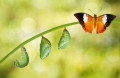 Embracing Change and Understanding Yourself