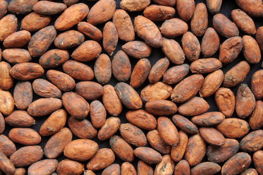 Dried cocoa beans
