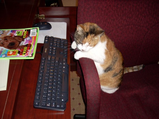 Is It Better Working From Home?  Tips To Make It Work!