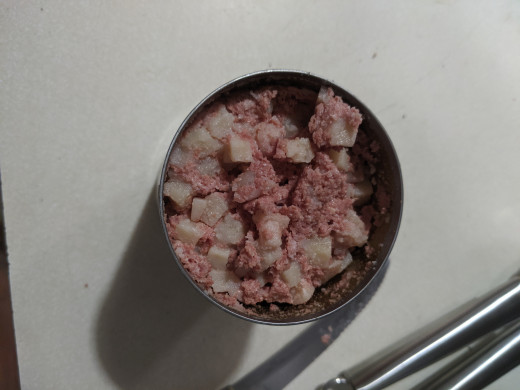 corned beef in can