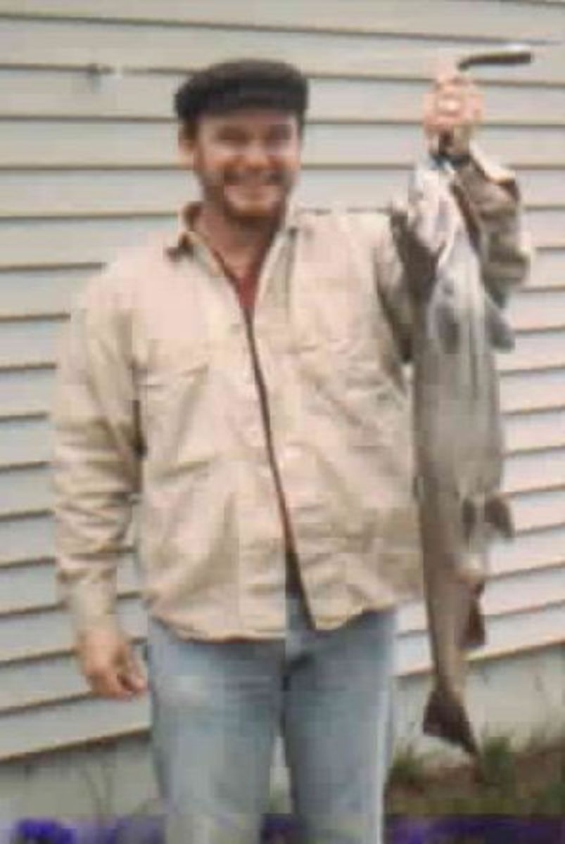 Michigan Steelhead Trout-Fishing Saga