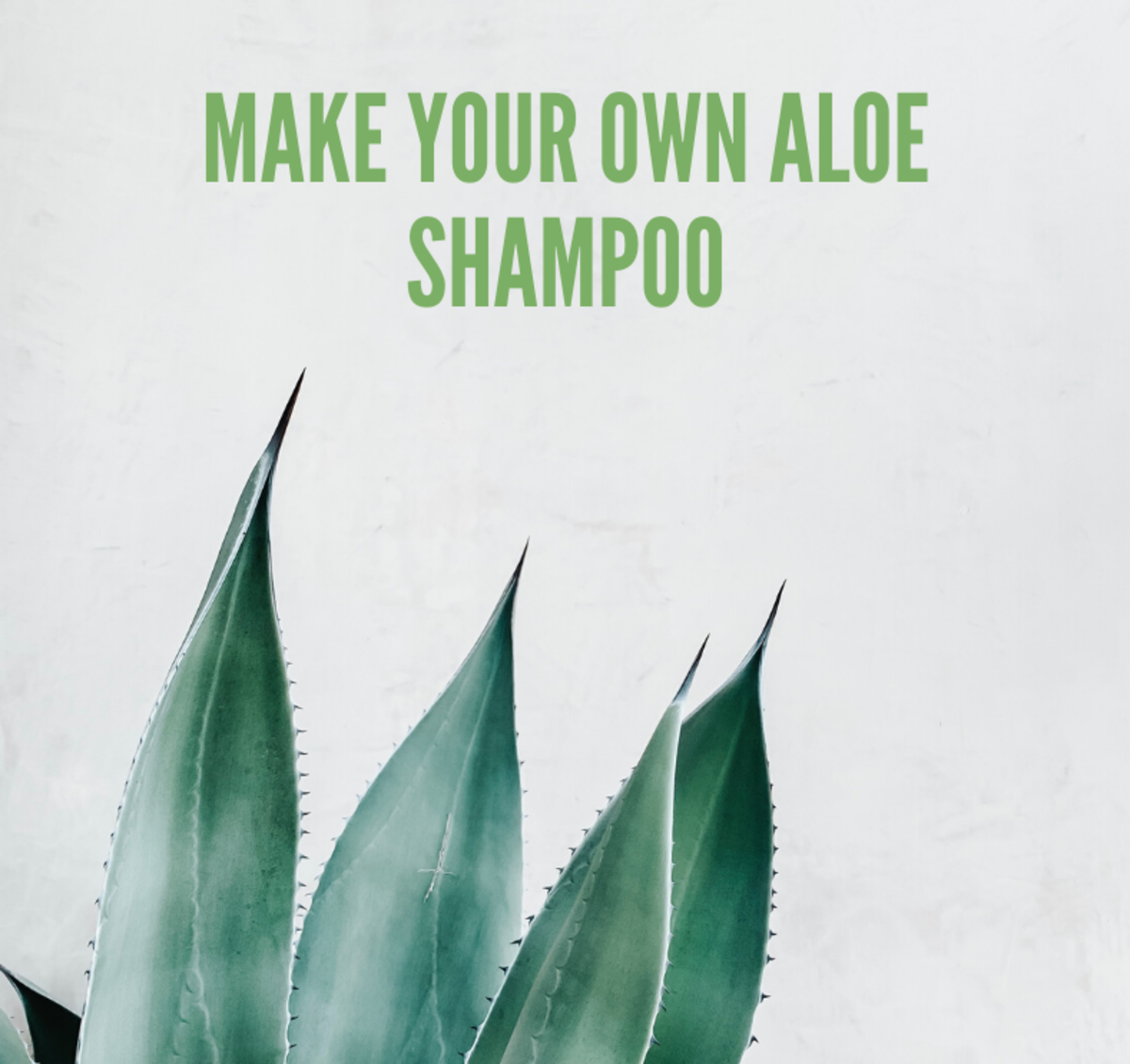 Aloe Vera Shampoo Recipe: Make Your Own