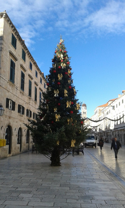 Christmas tree decorated in old town Dubrovnik