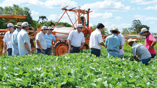 Farmers in the field