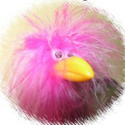 notanamatuer profile image