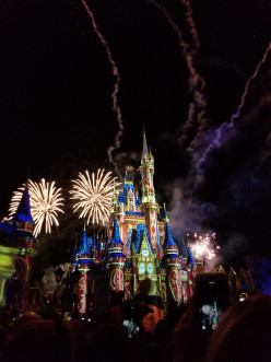 Why Did Disney World Switch to Solar Energy?