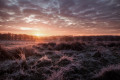 10 Reasons to Wake Up Earlier