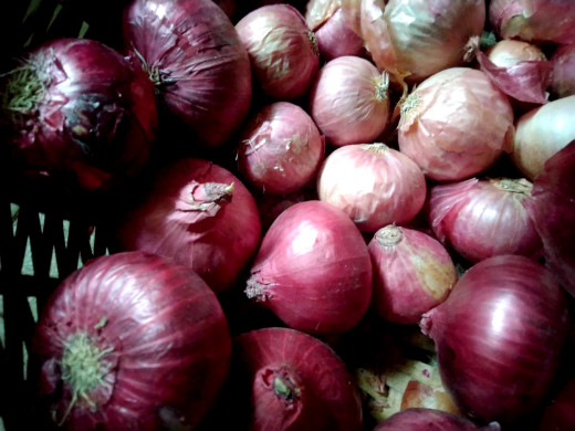 Egyptian onions in Indian market