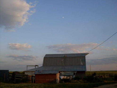 The southern sky is washed and wide. 