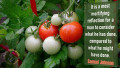 Daily Quotes for Living: Would You Perish Tomorrow, For What You Might Have Done?