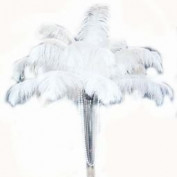 parmar004 profile image