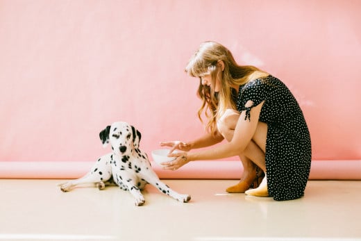 This dog has learned to wait to eat until his food is positioned in front of him.  It shows discipline and self control, and respect for his owner