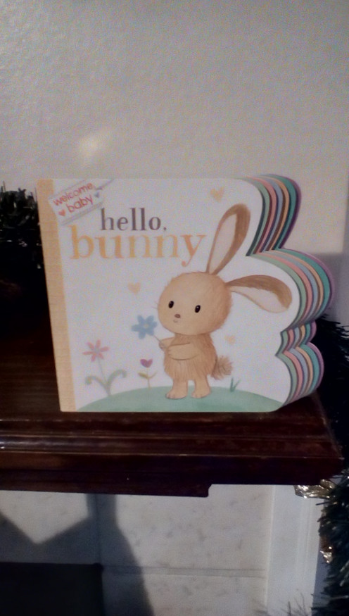 Board Books for Infants and Toddlers-Reviews and Interview ...