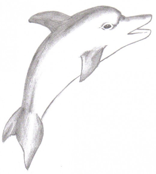 The dolphin looks almost finished, but from here you could add colour or really sketch in that detail.