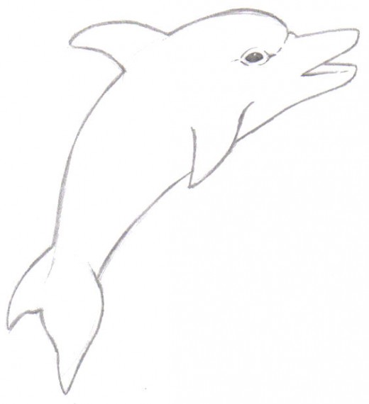 The lines have been darkened with a 2b pencil.