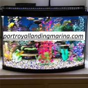 portroyallandingmaria profile image