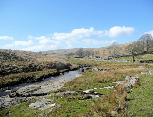 Above Oughtershaw - the terrain and going overall on this route are good. It's the route length that is the trial