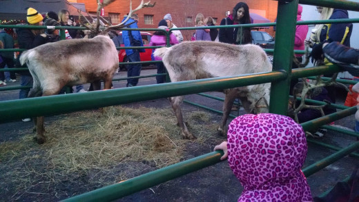 Christmas parade day festivities. 