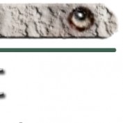Grey Ghost Mktg profile image