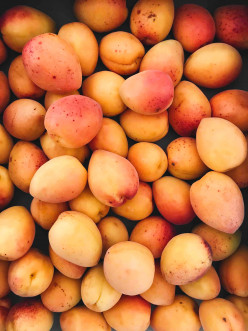 5 REASONS WHY YOU SHOULD EAT A MANGO TODAY